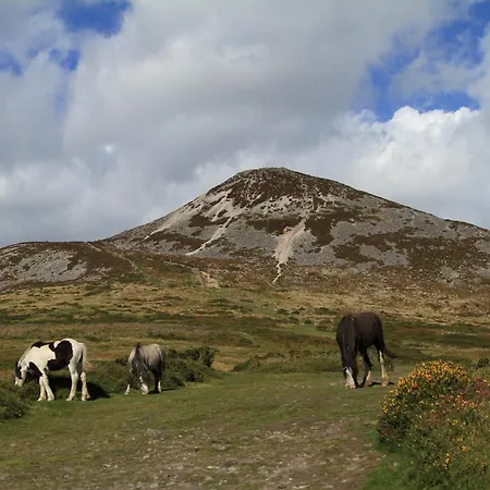 Jacob's Well Bed and Breakfast Rathdrum