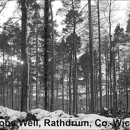 Guest house Jacob's Well Rathdrum