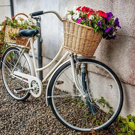 Jacob's Well 4* Rathdrum