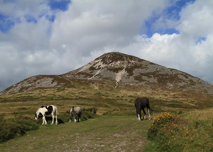 Jacob's Well Couette-café Rathdrum