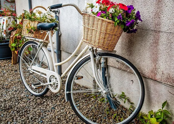 Jacob's Well 4* Rathdrum